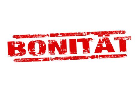 Bonitäts-Check: Wie sieht Ihre Schufa-Auskunft aus